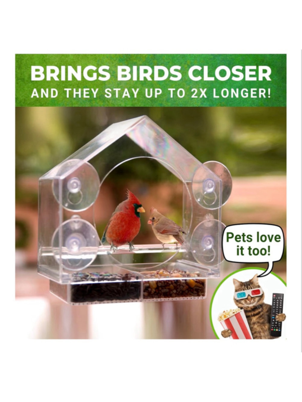 NEW Window Weather Proof Transparent Acrylic Bird Feeder Watching for cats - Picture 5 of 8